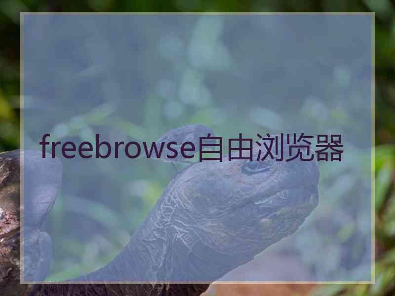 freebrowse自由浏览器