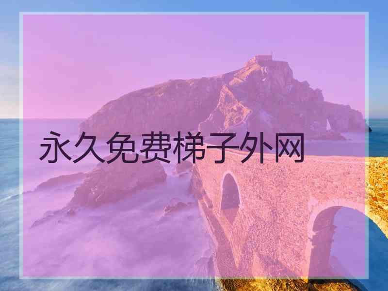 永久免费梯子外网