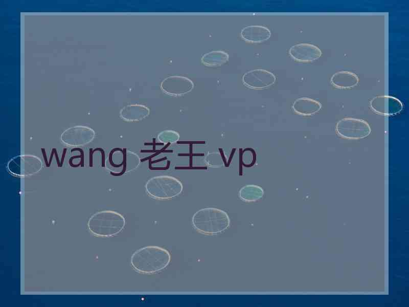 wang 老王 vp