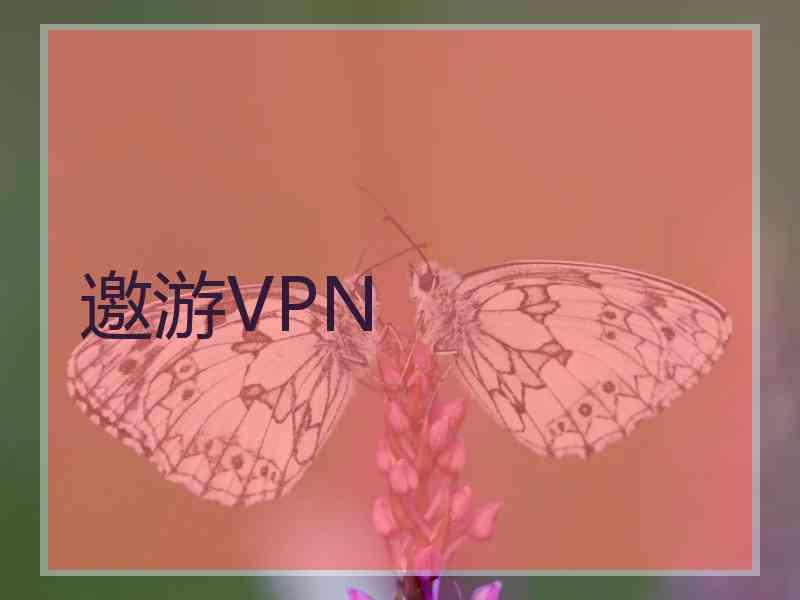 邀游VPN