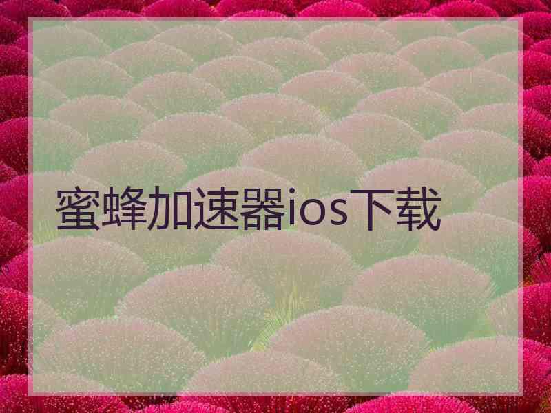 蜜蜂加速器ios下载