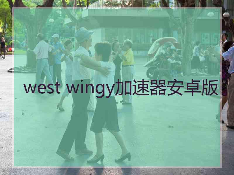 west wingy加速器安卓版