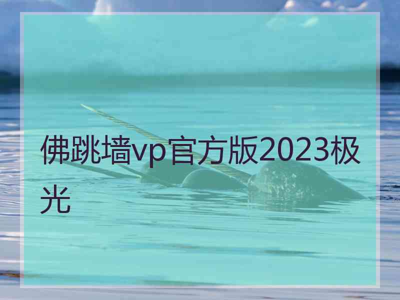 佛跳墙vp官方版2023极光