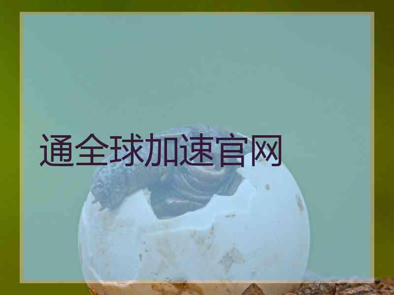 通全球加速官网