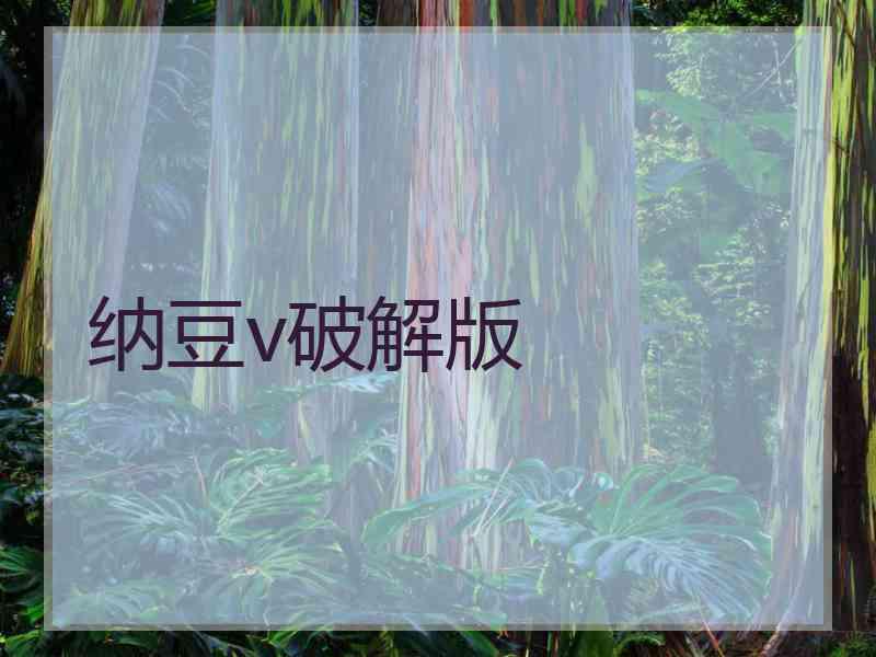 纳豆v破解版