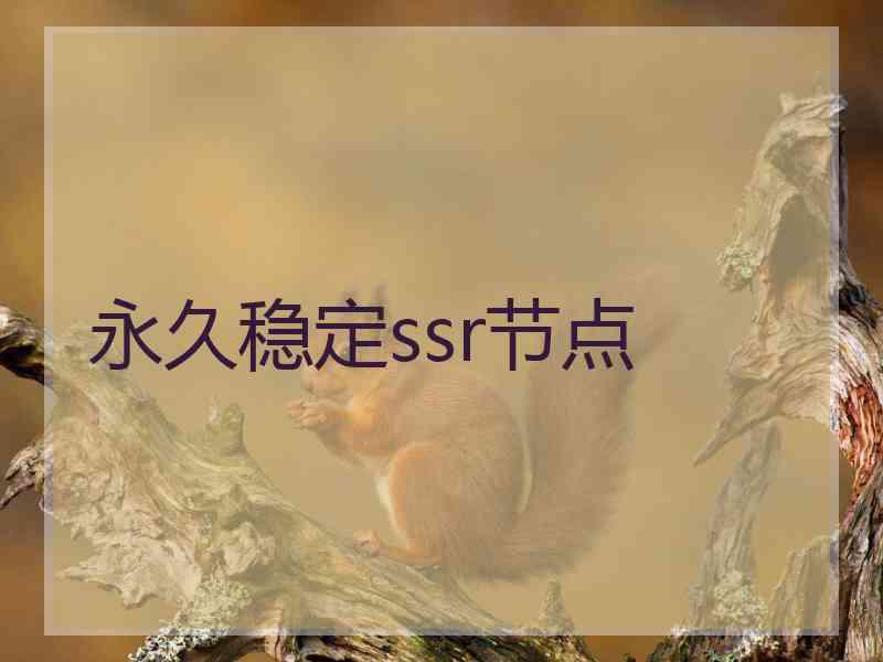 永久稳定ssr节点