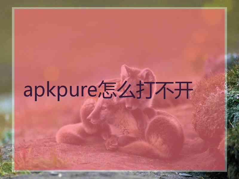 apkpure怎么打不开