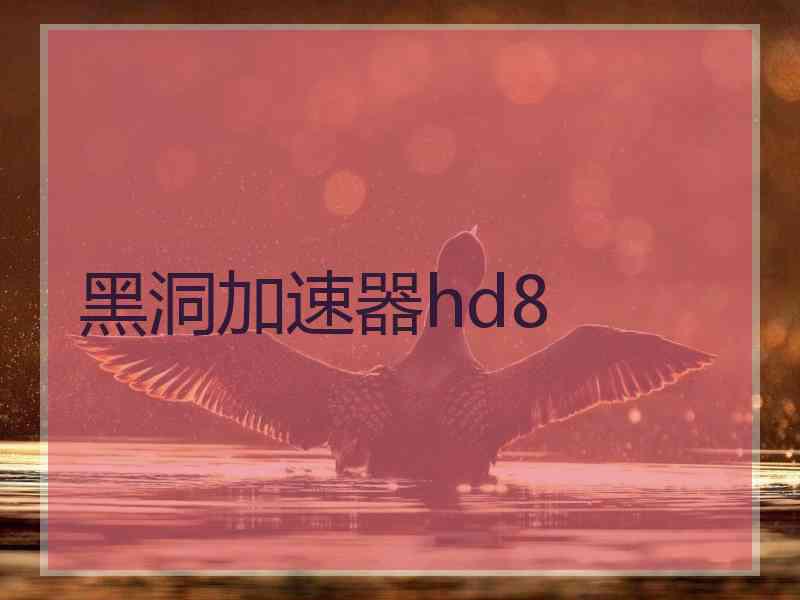 黑洞加速器hd8