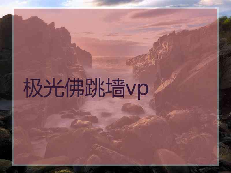 极光佛跳墙vp