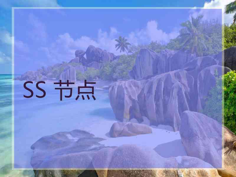 SS 节点