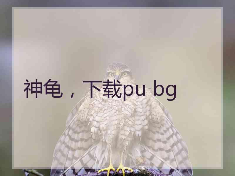 神龟，下载pu bg