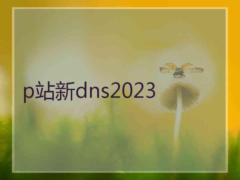 p站新dns2023