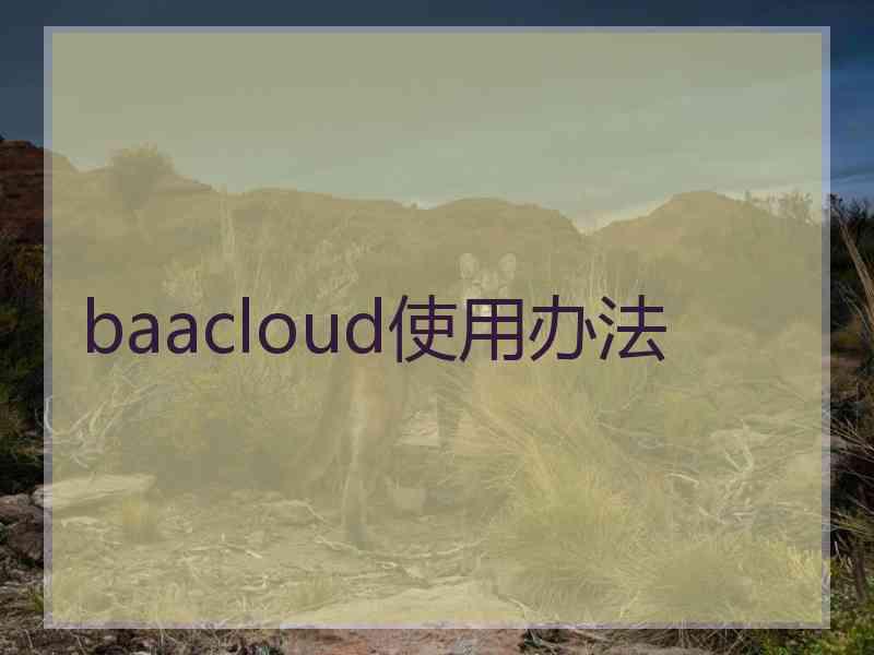 baacloud使用办法