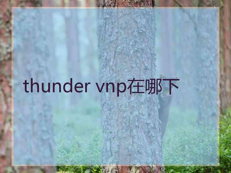 thunder vnp在哪下