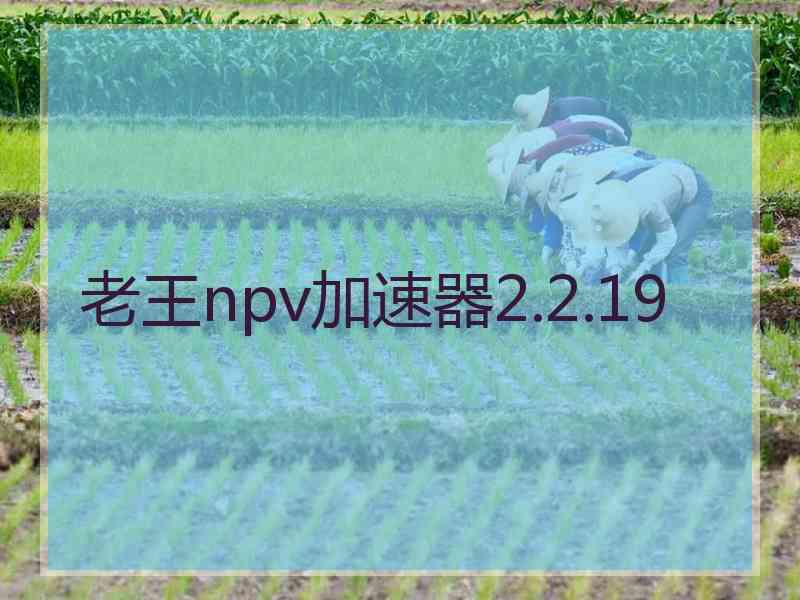 老王npv加速器2.2.19