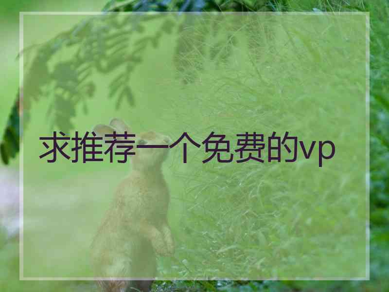 求推荐一个免费的vp