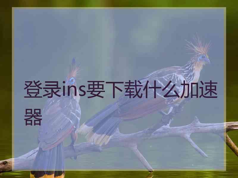 登录ins要下载什么加速器