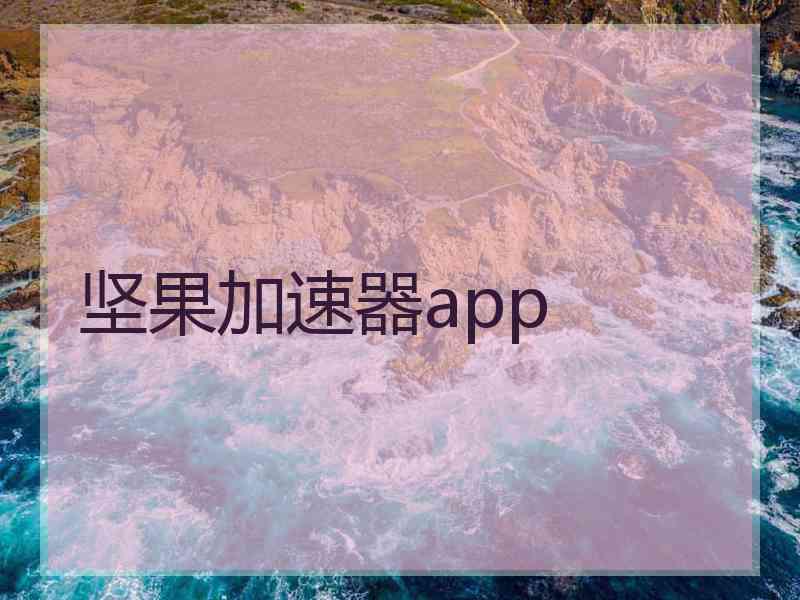 坚果加速器app