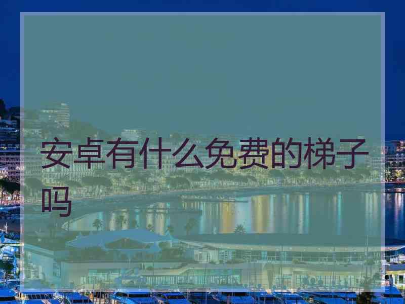 安卓有什么免费的梯子吗