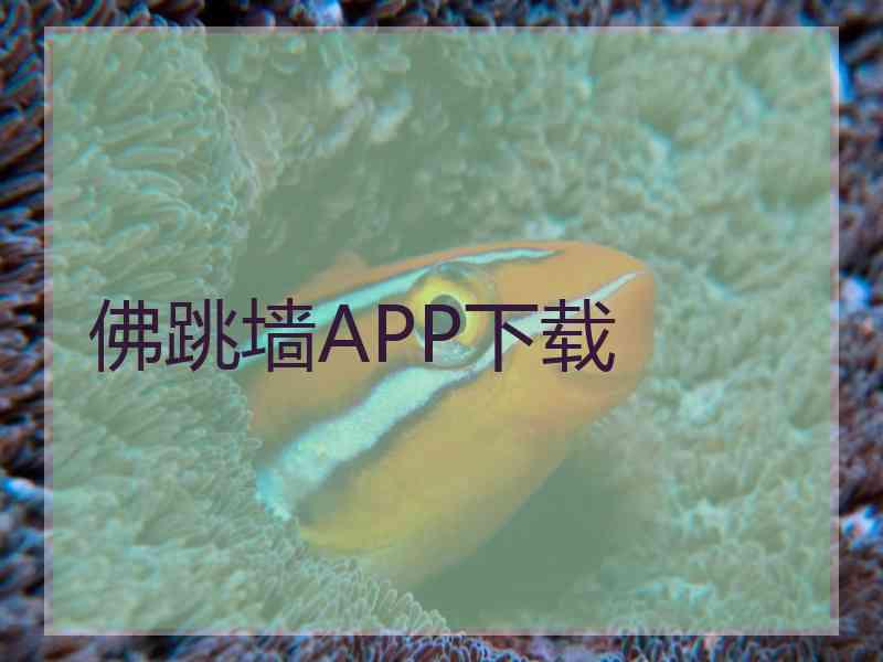 佛跳墙APP下载