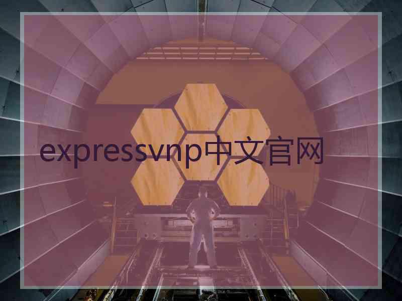 expressvnp中文官网