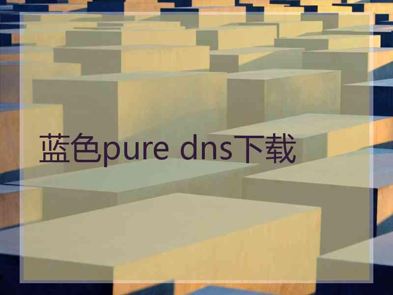 蓝色pure dns下载