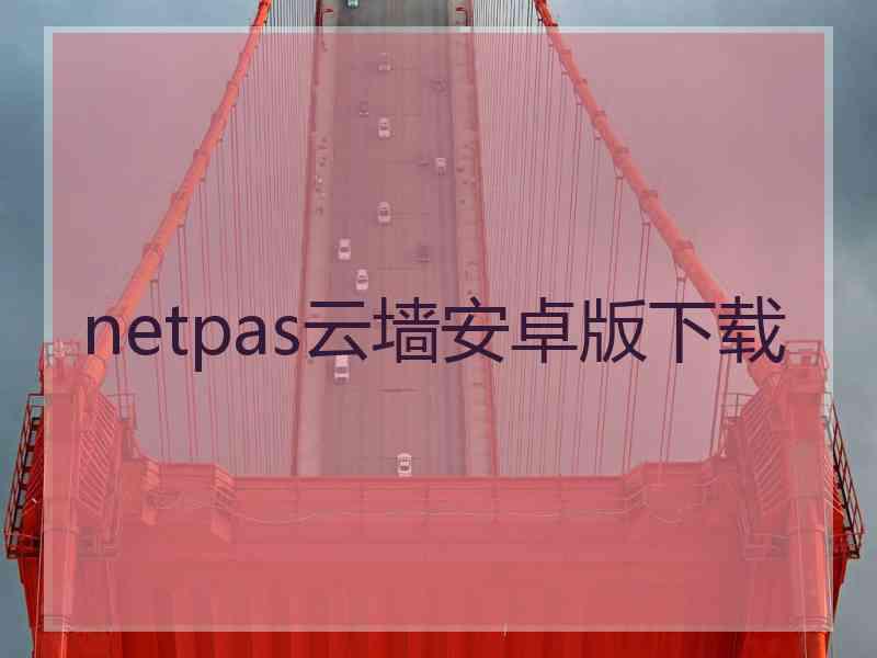 netpas云墙安卓版下载