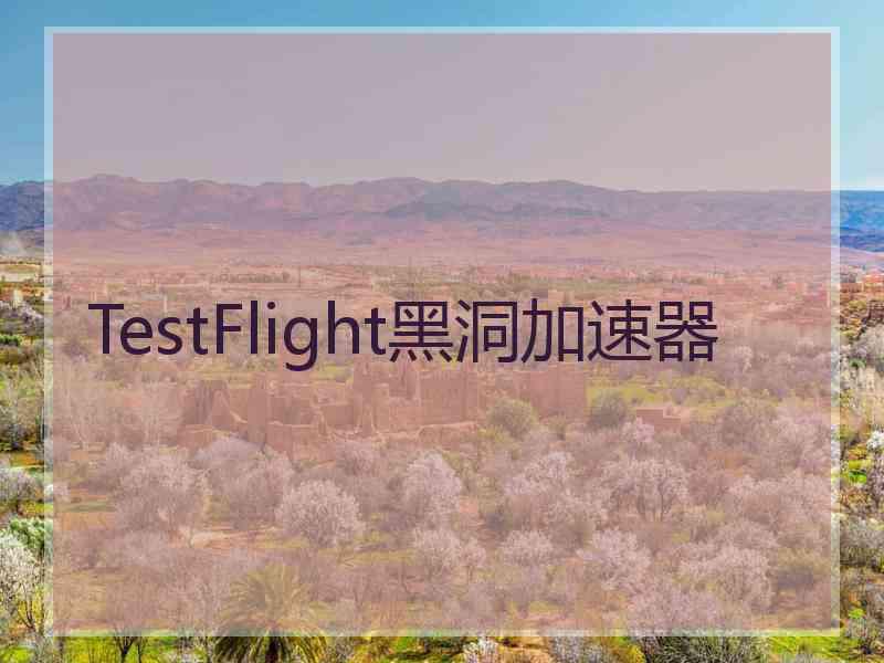 TestFlight黑洞加速器