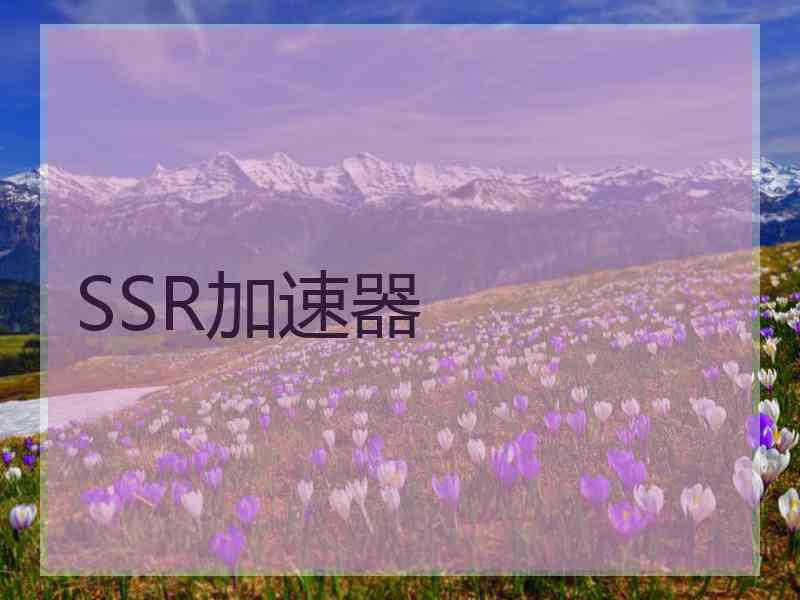 SSR加速器