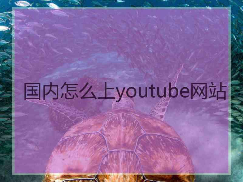 国内怎么上youtube网站