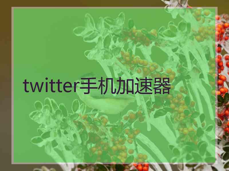 twitter手机加速器