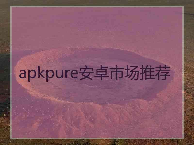 apkpure安卓市场推荐