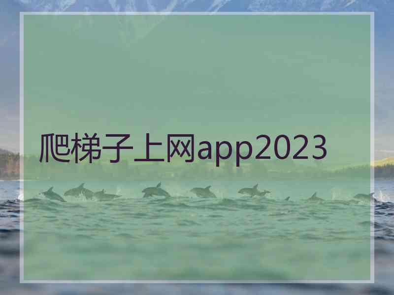 爬梯子上网app2023