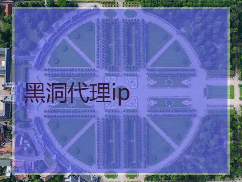 黑洞代理ip