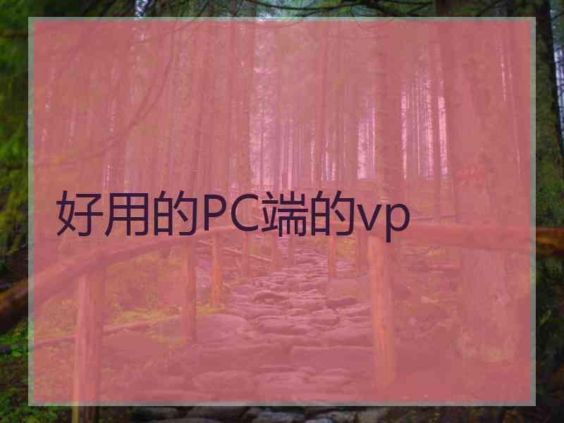 好用的PC端的vp