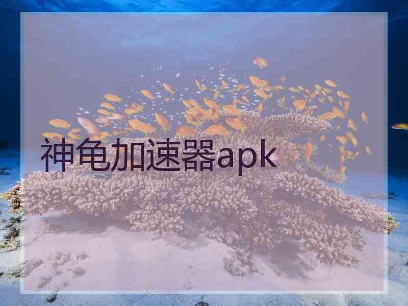 神龟加速器apk