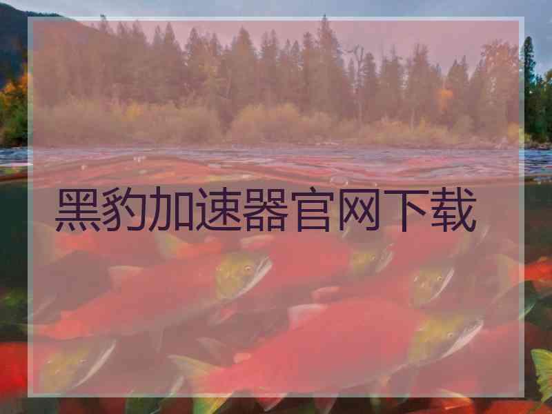 黑豹加速器官网下载