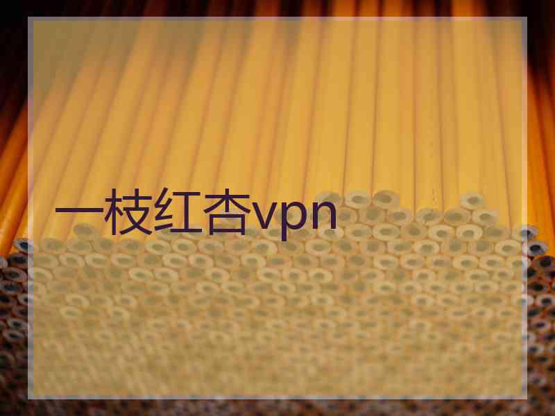 一枝红杏vpn