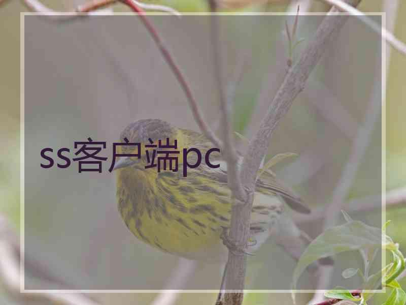 ss客户端pc