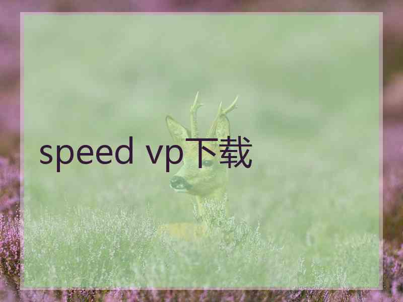 speed vp下载