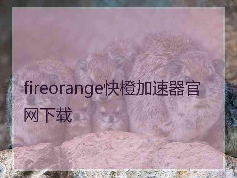 fireorange快橙加速器官网下载