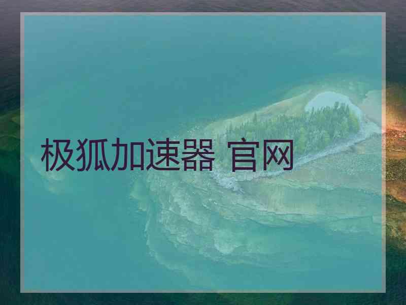 极狐加速器 官网