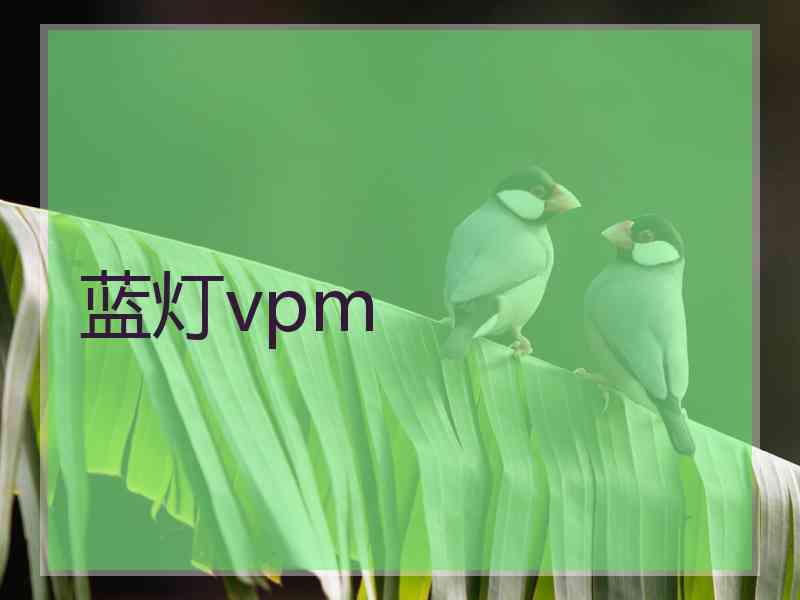 蓝灯vpm