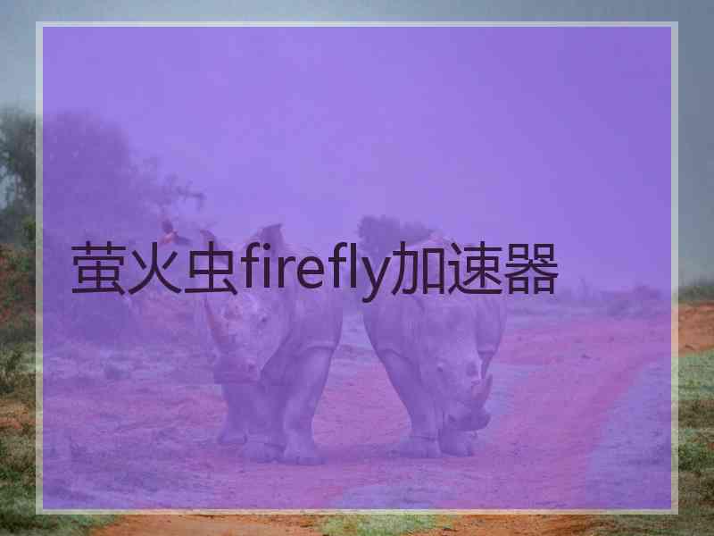 萤火虫firefly加速器