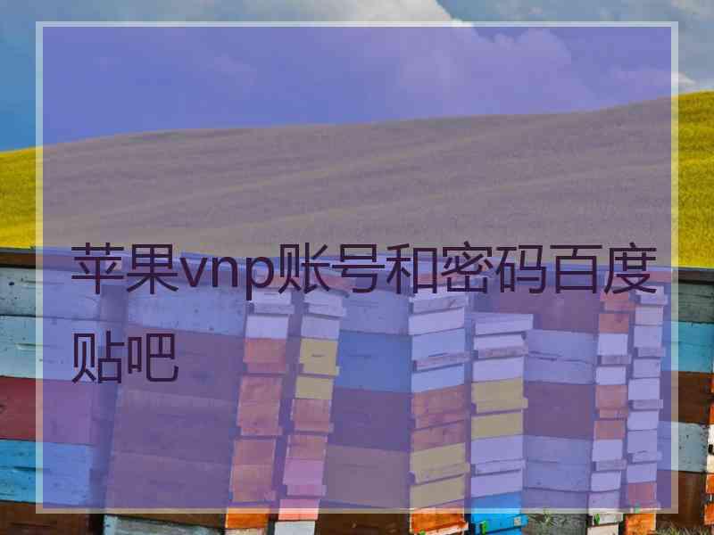 苹果vnp账号和密码百度贴吧