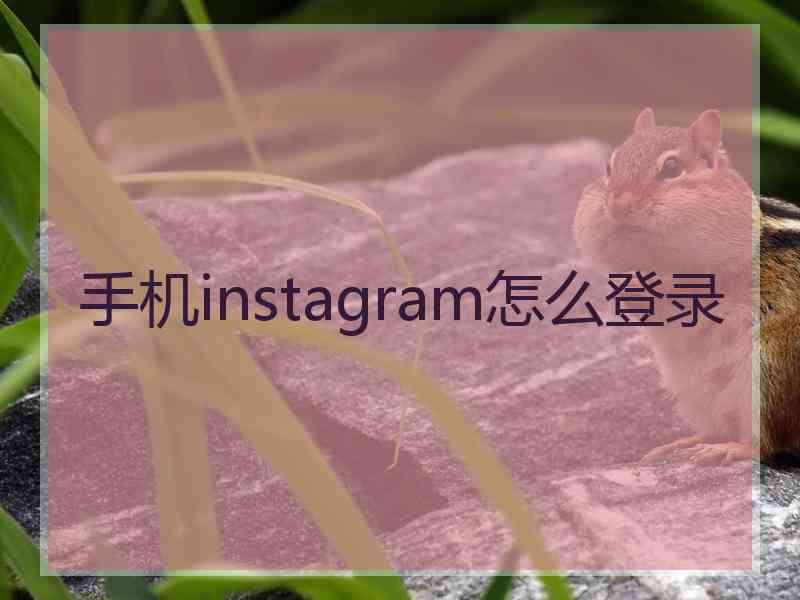 手机instagram怎么登录