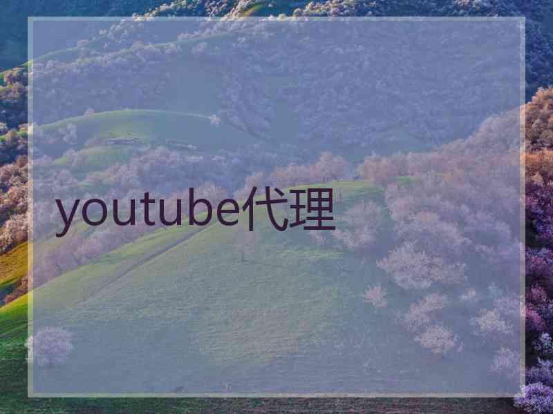 youtube代理