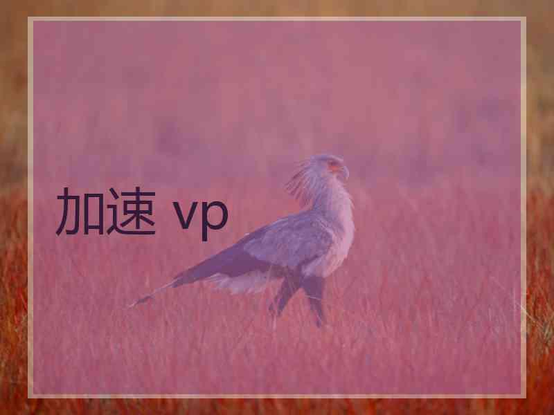 加速 vp