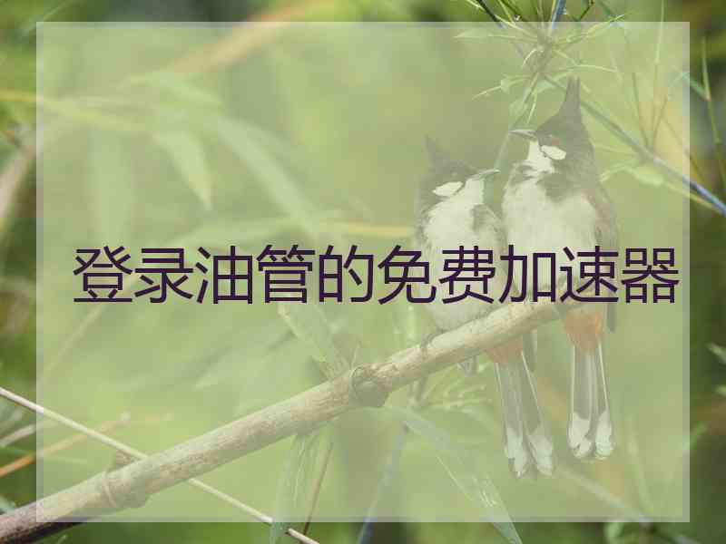 登录油管的免费加速器