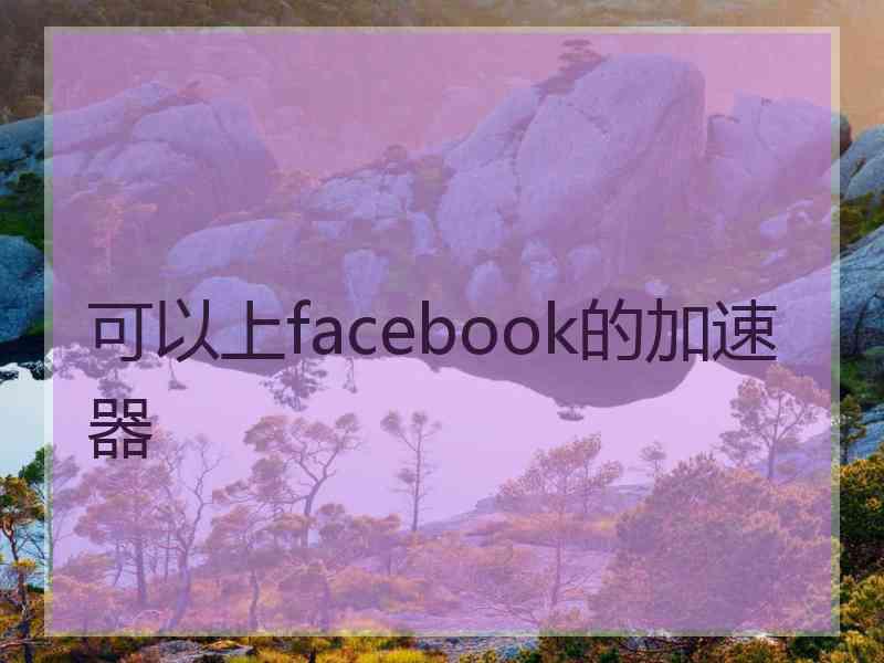 可以上facebook的加速器